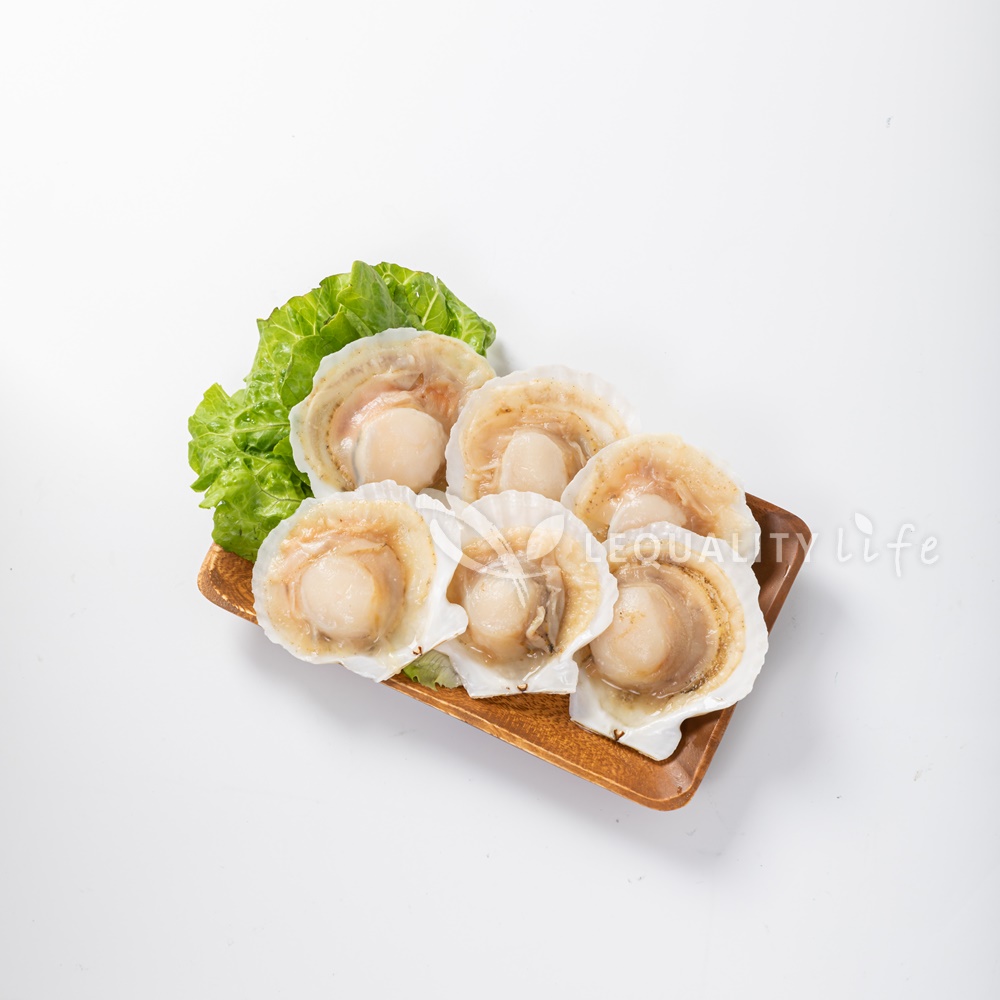 無卵半殼扇貝|HALF SHELL SCALLOP(ROE-OFF) – 樂客生活事業