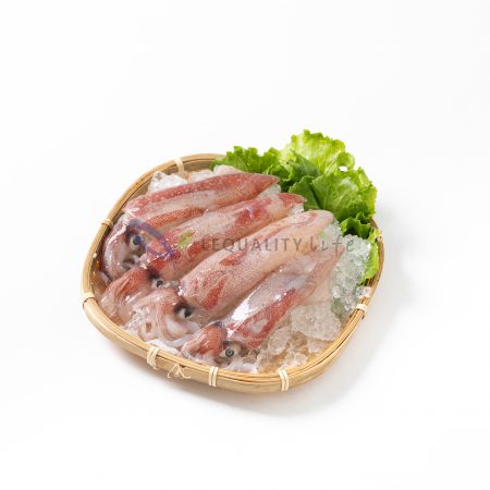 產品介紹 樂客生活事業