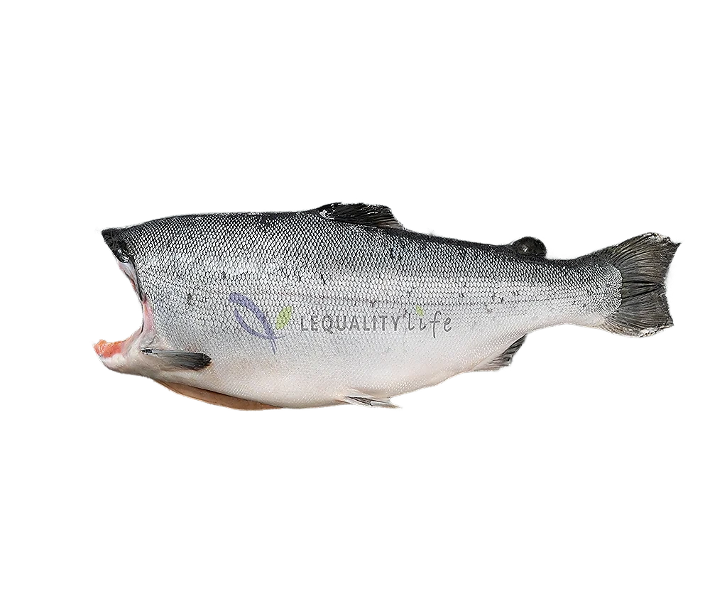 功夫鮭魚頭（100-200g/包）