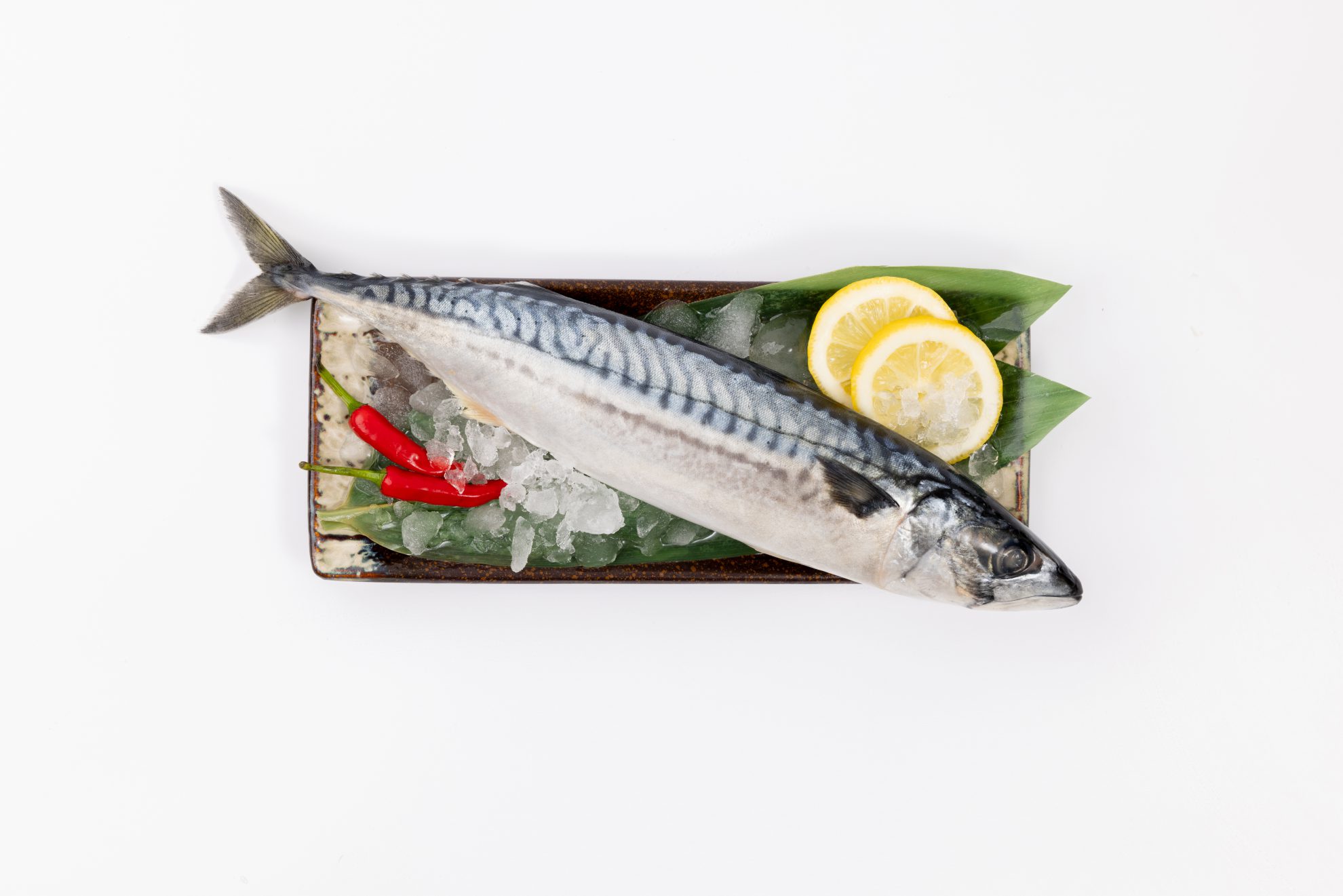 鯖魚|ATLANTIC MACKEREL – 樂客生活事業